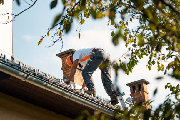 Best Residential Roofing Contractor  in Ontonagon, MI