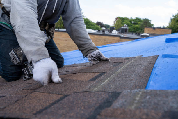 Best Roof Gutter Cleaning  in Ontonagon, MI